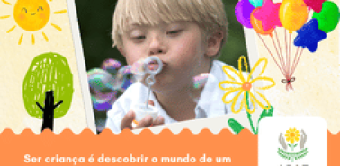 novo tamanho artigo