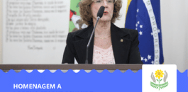 novo tamanho artigo